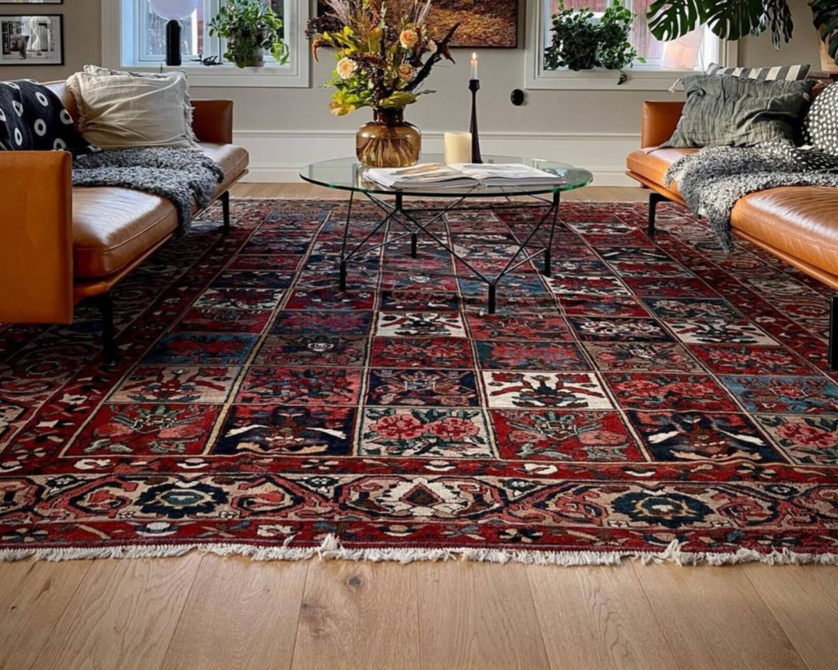 Vintage Persian Bakhtiari rug in a living room
