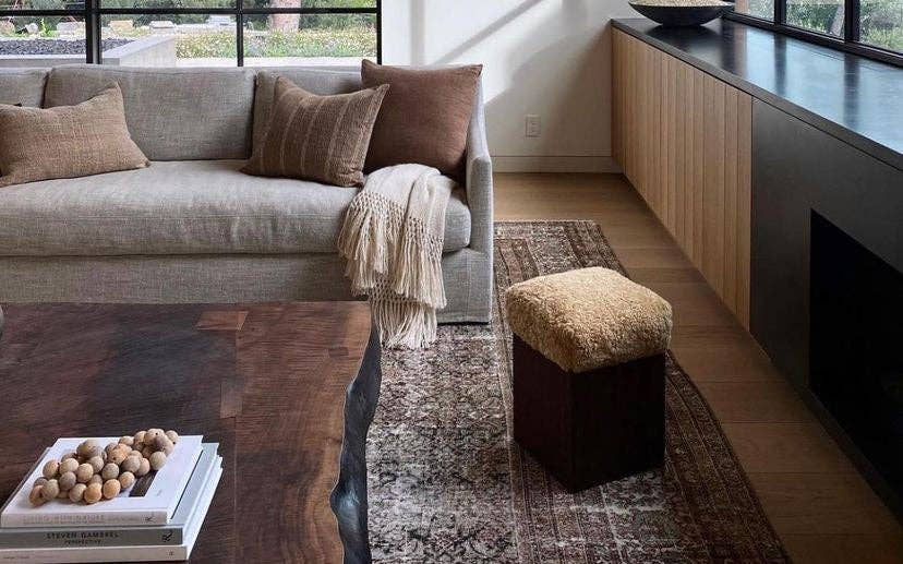 Vintage rug anchoring a bright modern living room