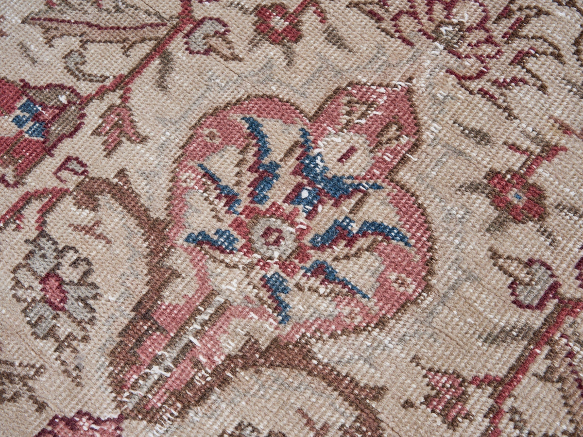 8189, Turkish Isparta Area Rug