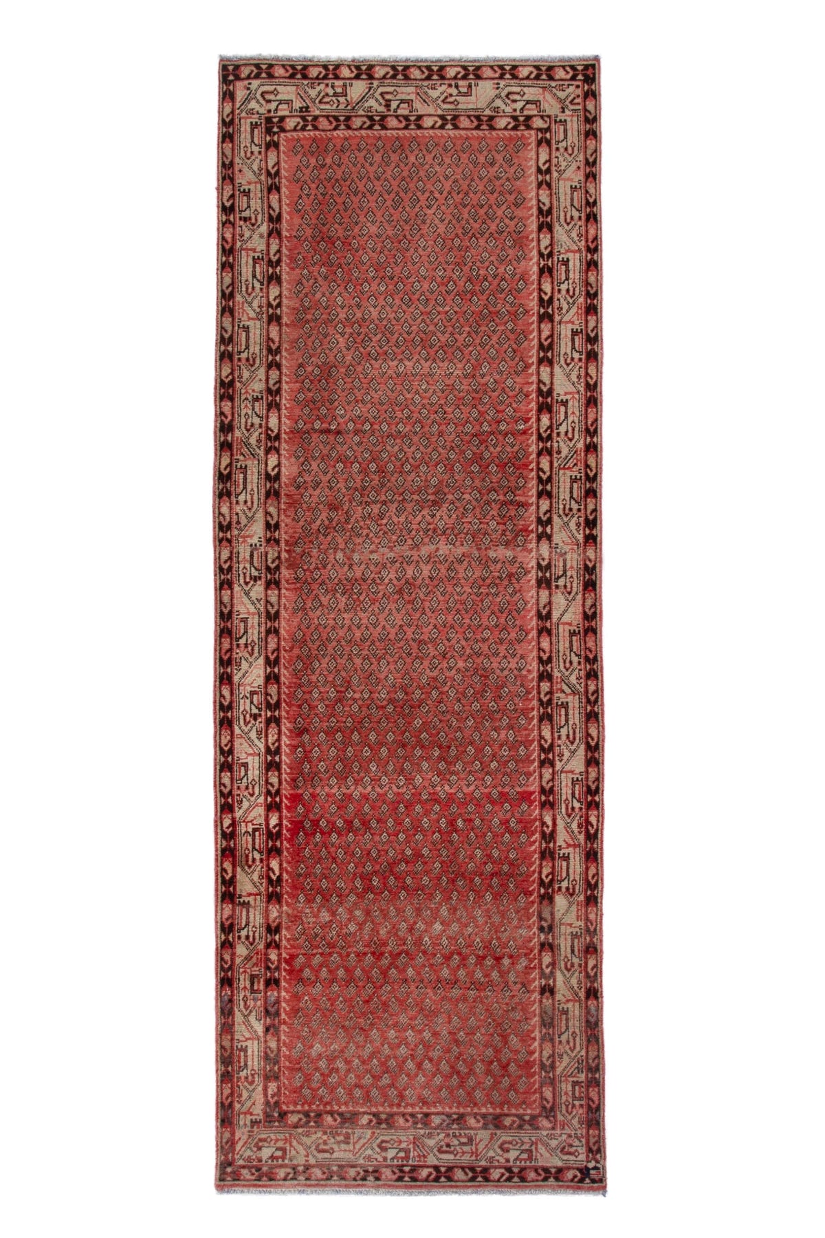 3098, Persian Arak Runner Rug