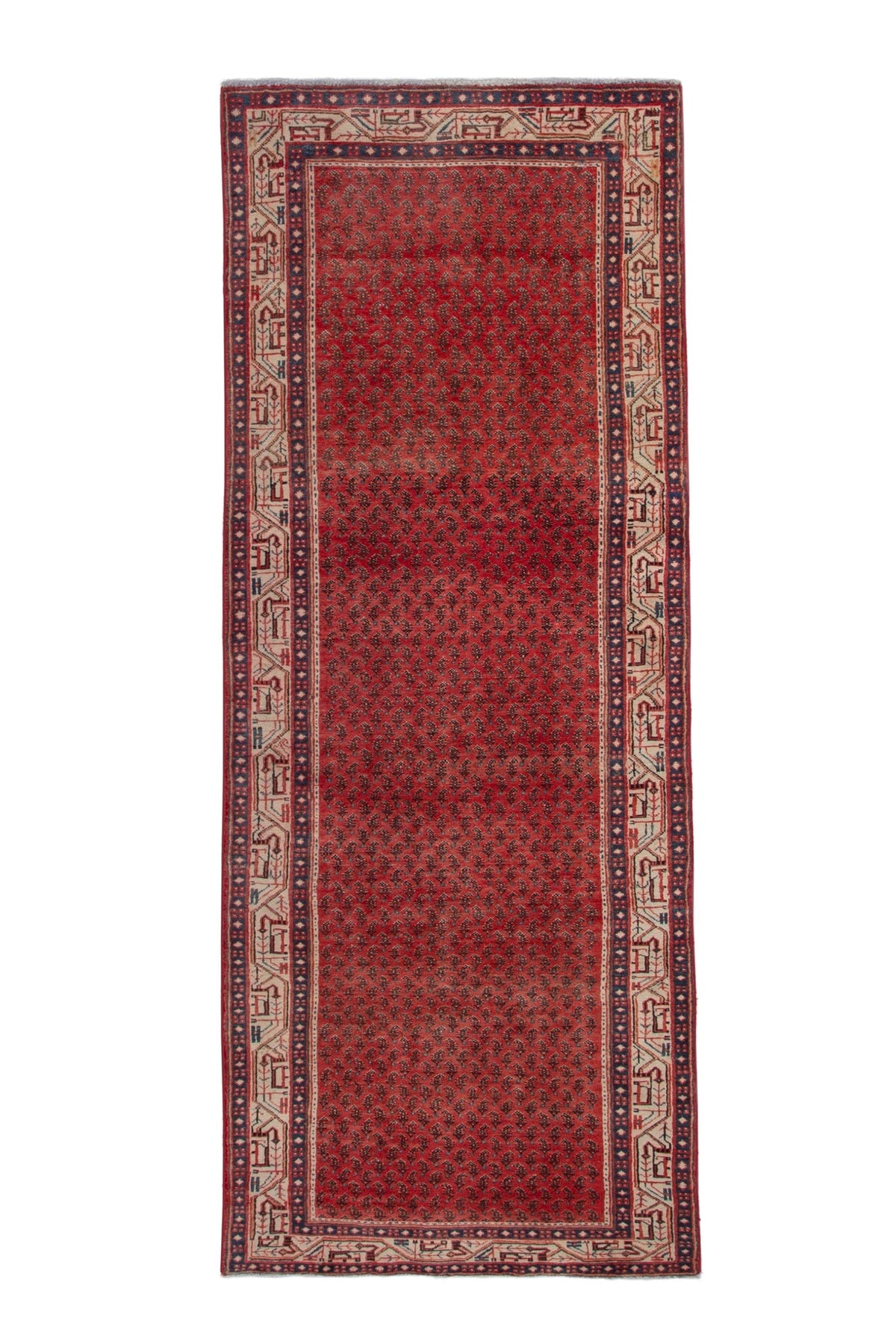 3171, Persian Arak Runner Rug