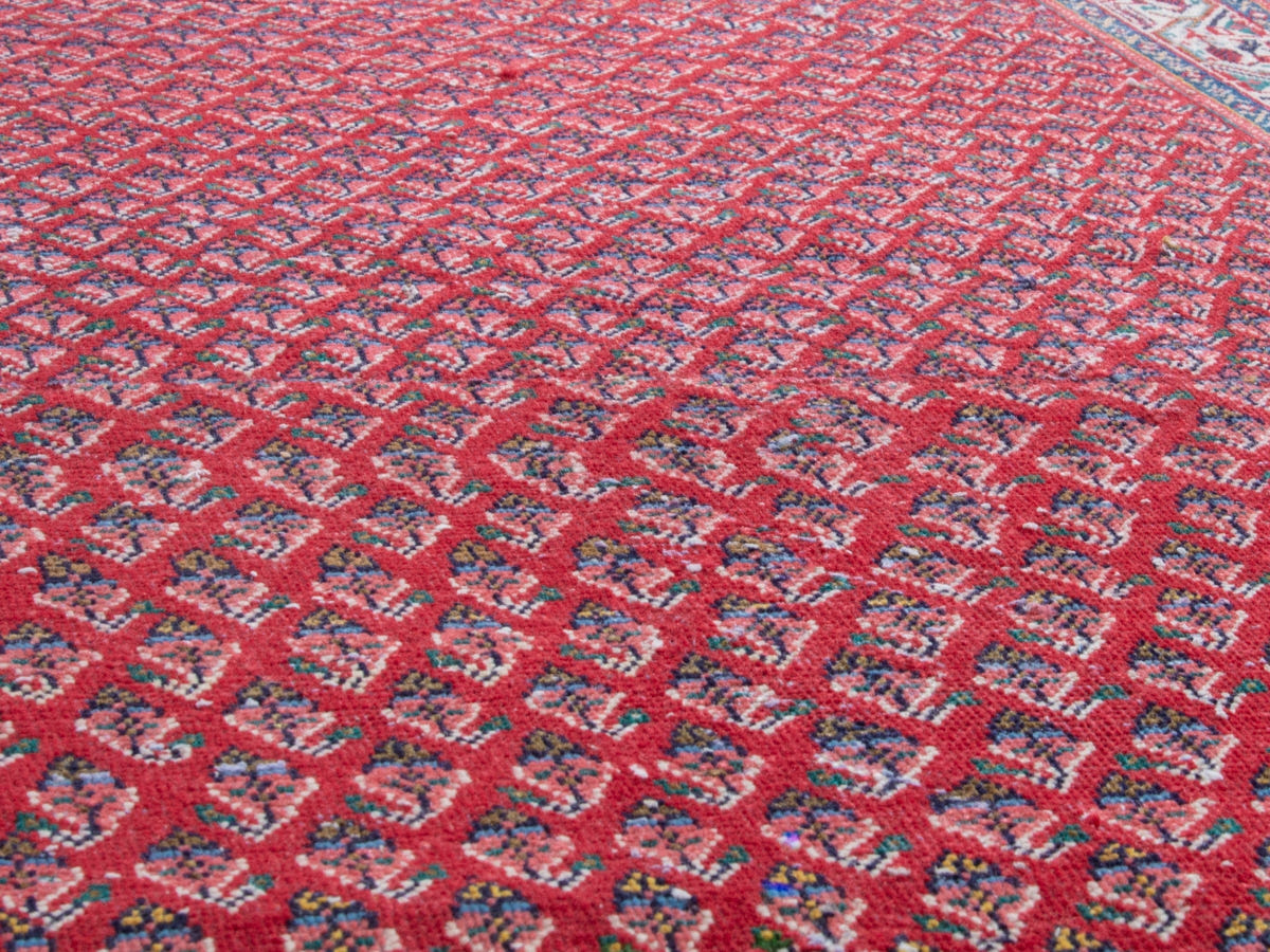 4348, Persian Arak Area Rug