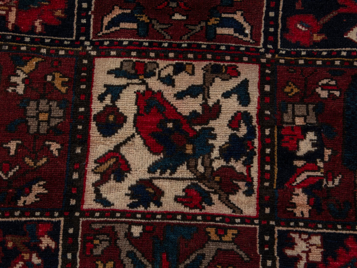 4498, Persian Bakhtiari Area Rug