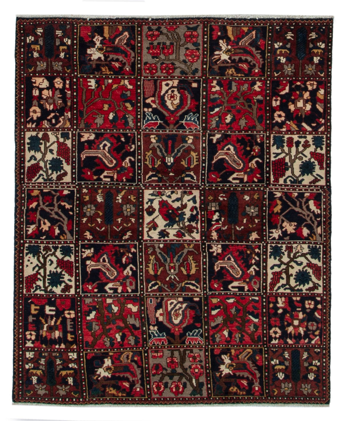4498, Persian Bakhtiari Area Rug