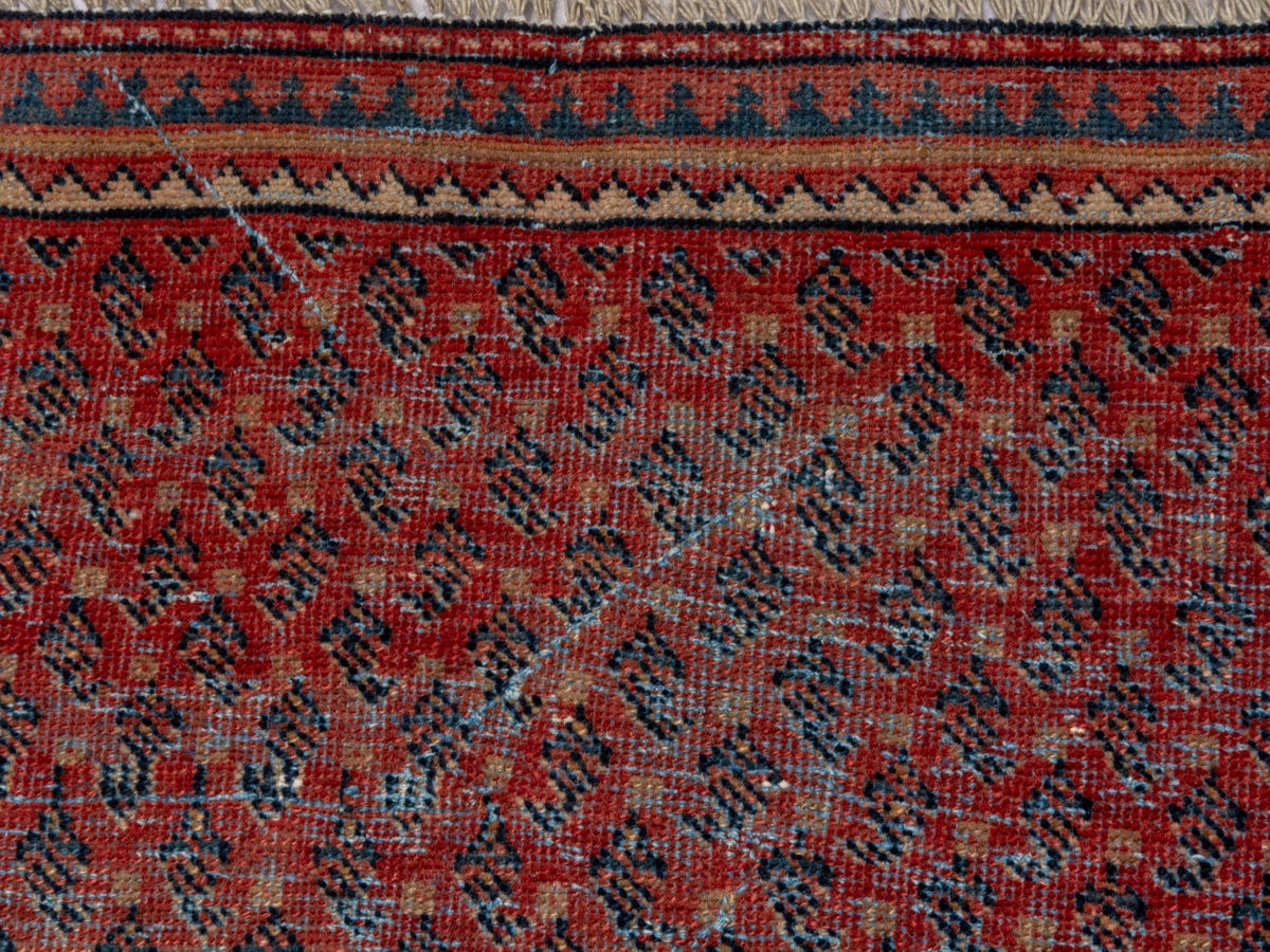 4623, Persian Botteh Area Rug