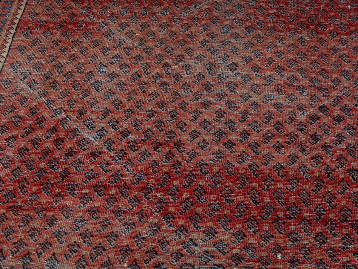 4623, Persian Botteh Area Rug