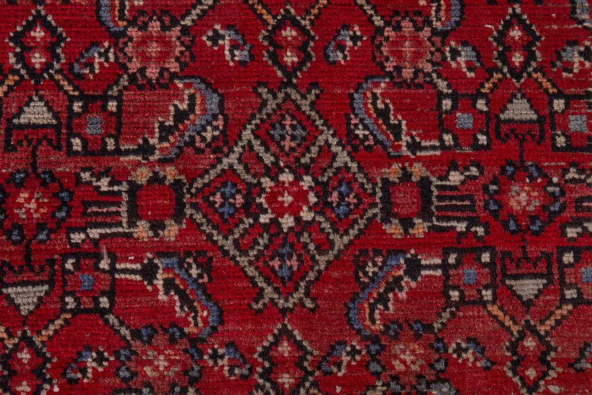 5006, Persian Hamadan Runner Rug