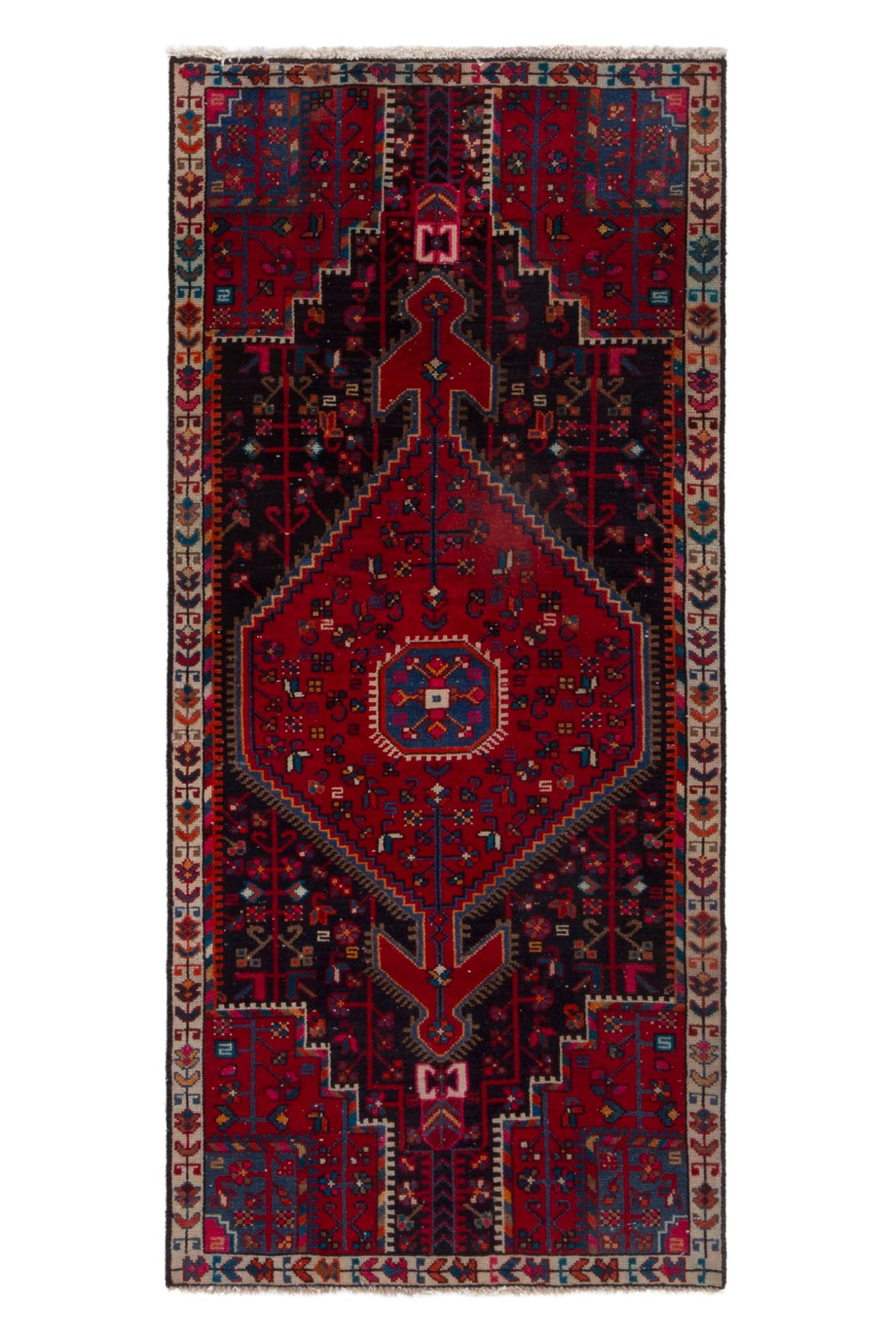 5040, Persian Toyserkan Area Rug