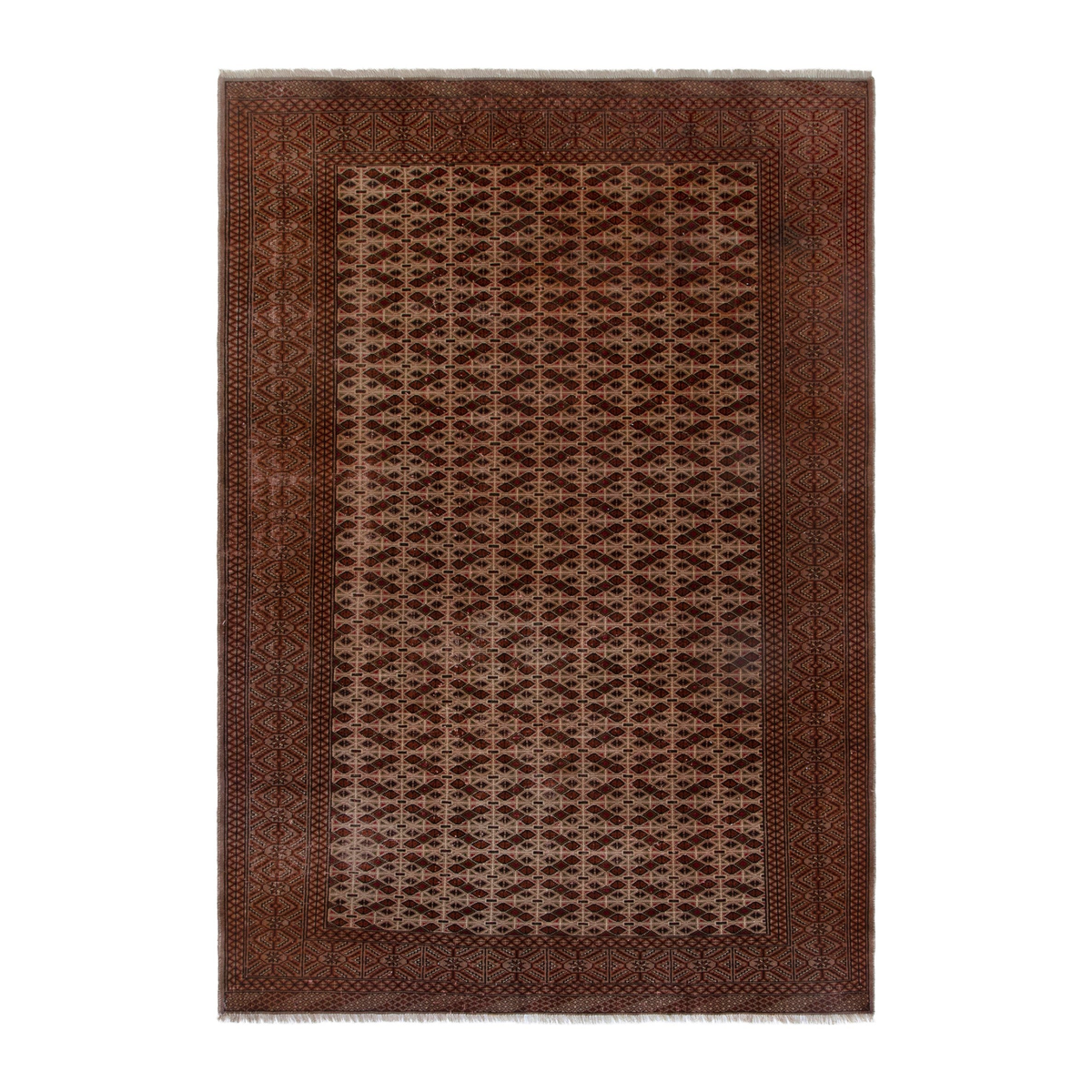 Persian Torkaman area rug in tan and brown, 6'7" x 9'5"