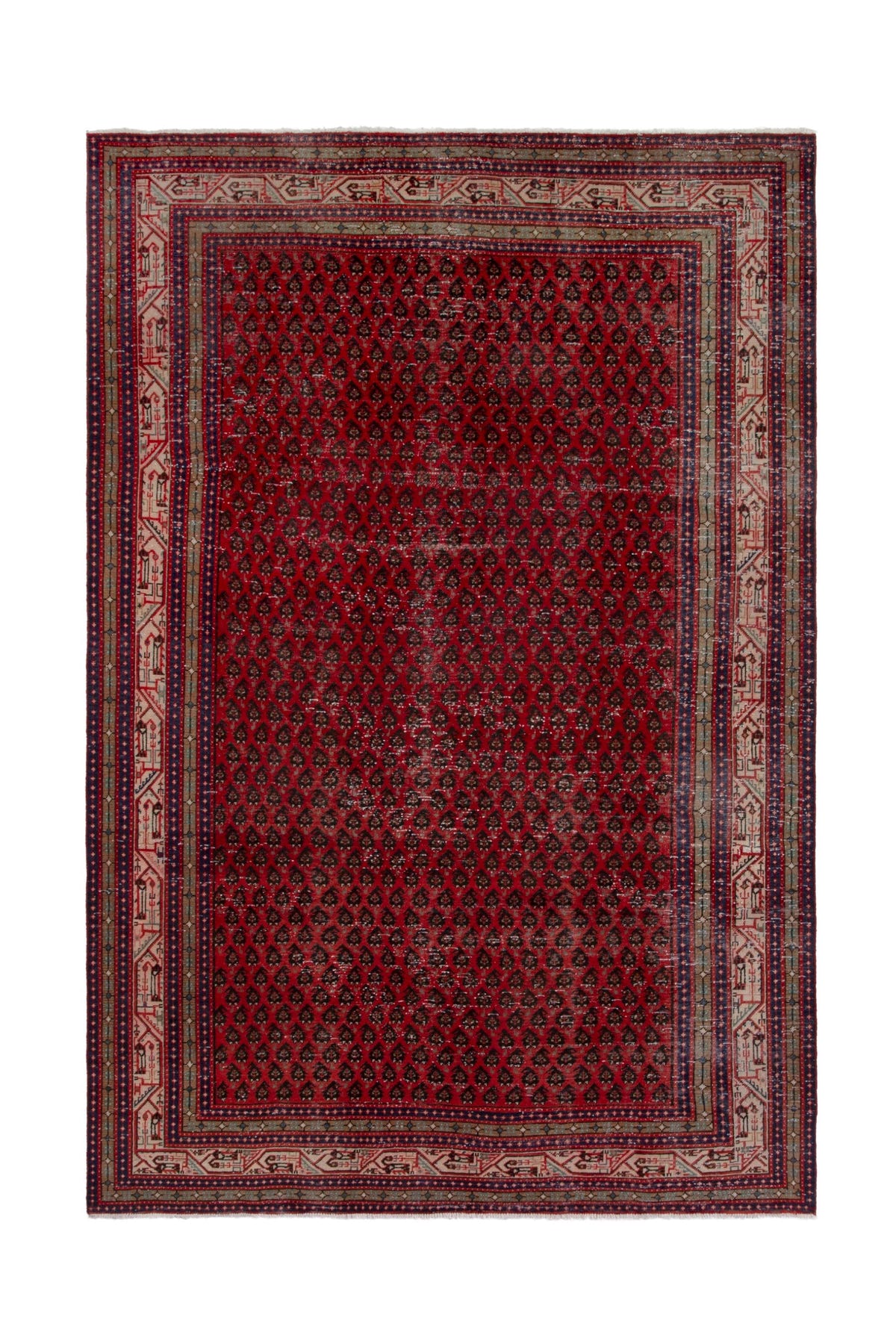 5117, Persian Botteh Oversized Rug
