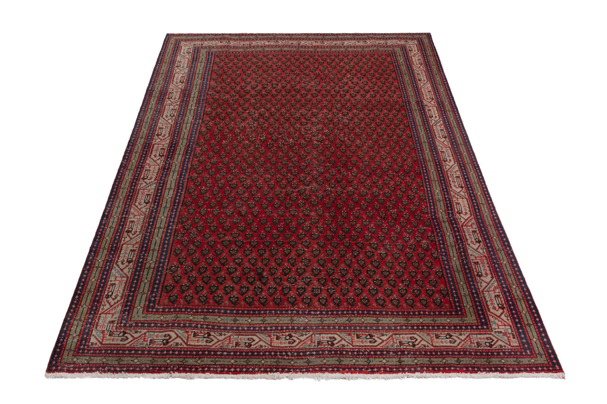 5117, Persian Botteh Oversized Rug
