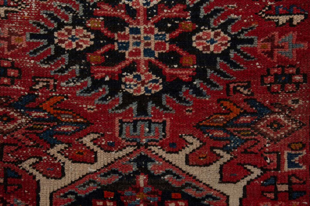 5131, Persian Gharajeh Runner Rug