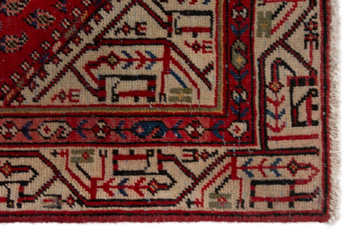 5133, Persian Botteh Area Rug