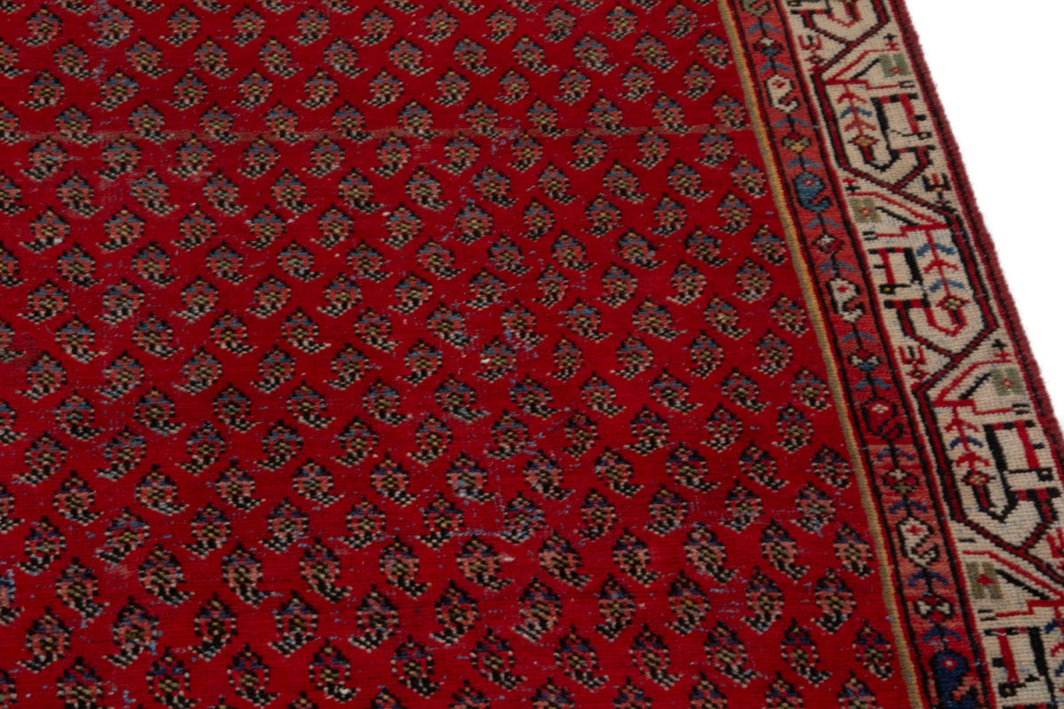 5133, Persian Botteh Area Rug