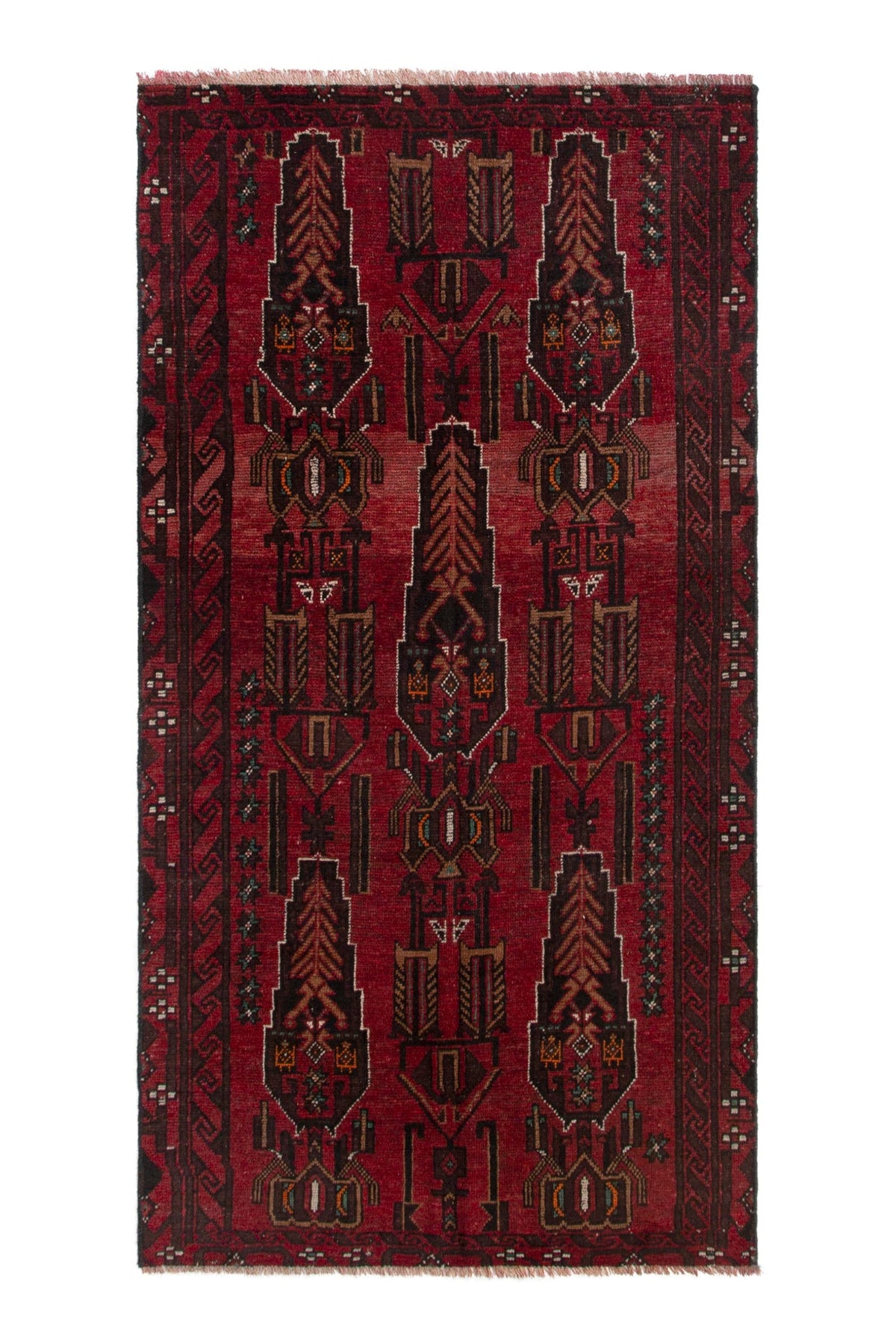 5337, Persian Shiraz Area Rug