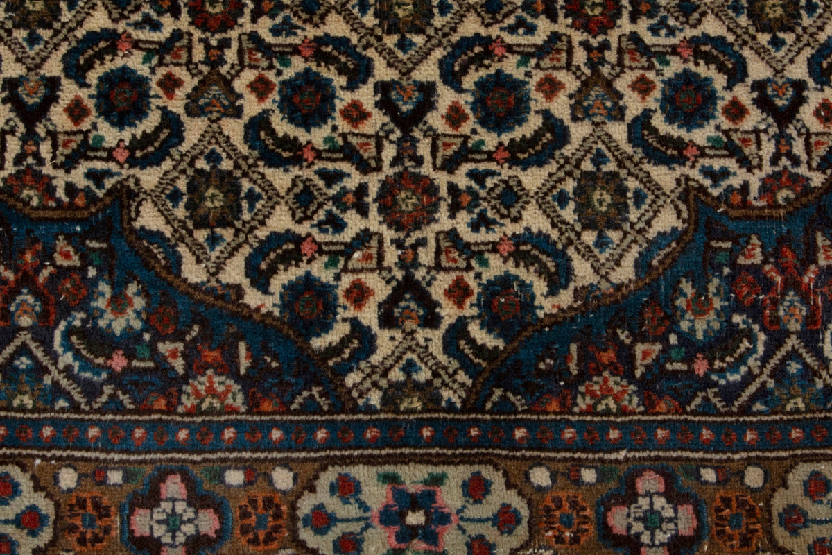 5350, Persian Birjand Area Rug