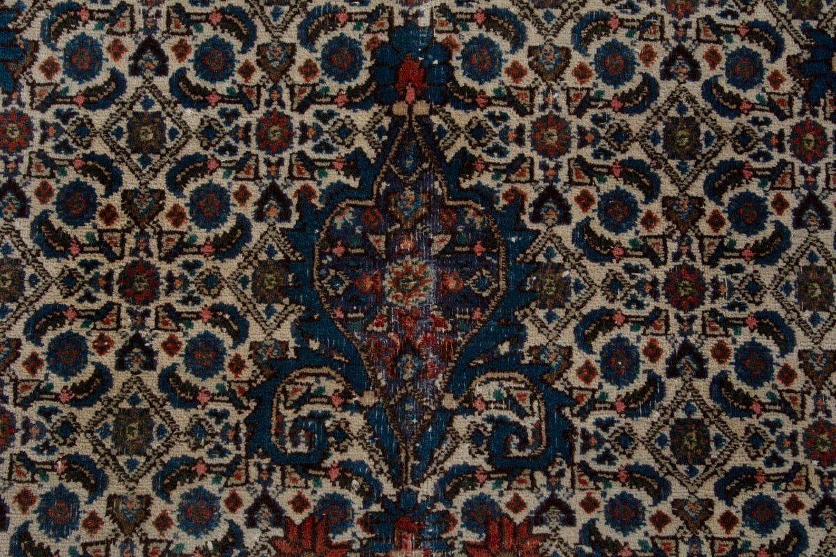 5350, Persian Birjand Area Rug