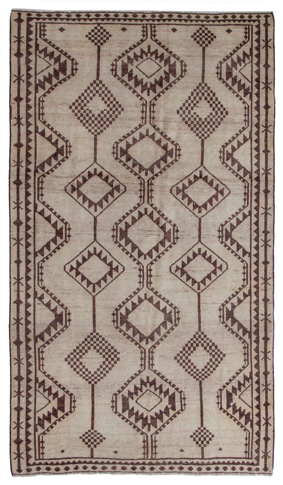 5489, Persian Shiraz Area Rug