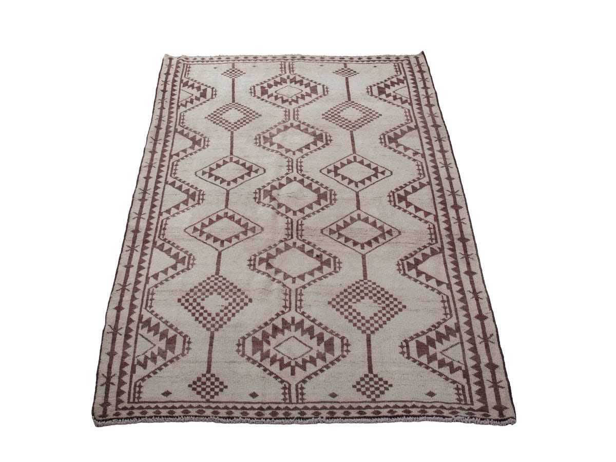 5489, Persian Shiraz Area Rug