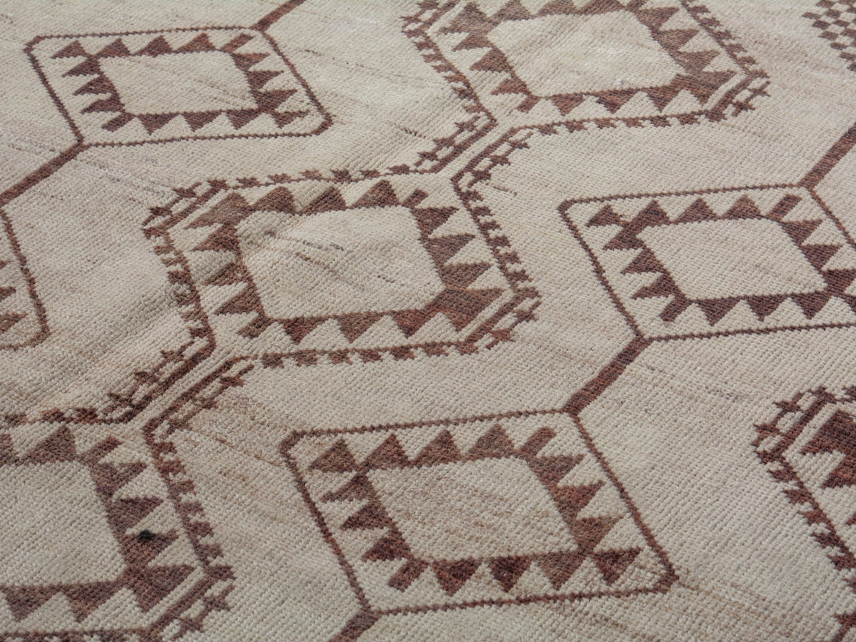 5489, Persian Shiraz Area Rug