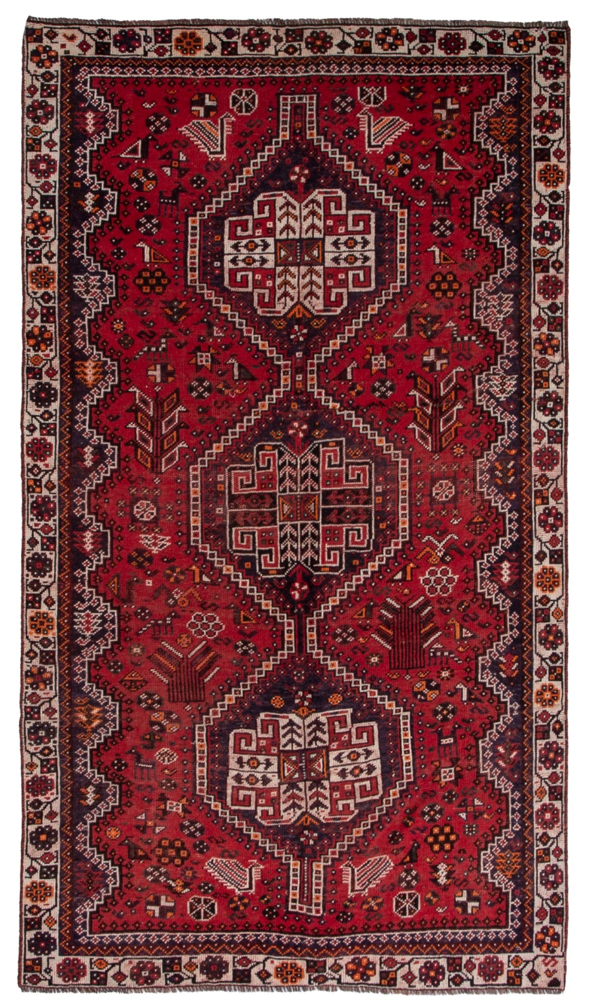 5493, Persian Shiraz Area Rug