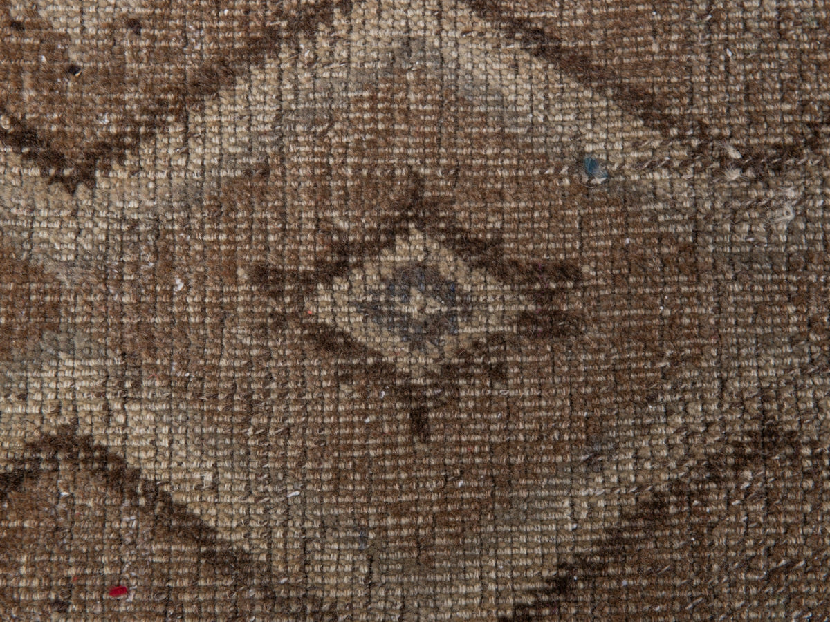 5507, Persian Shiraz Area Rug