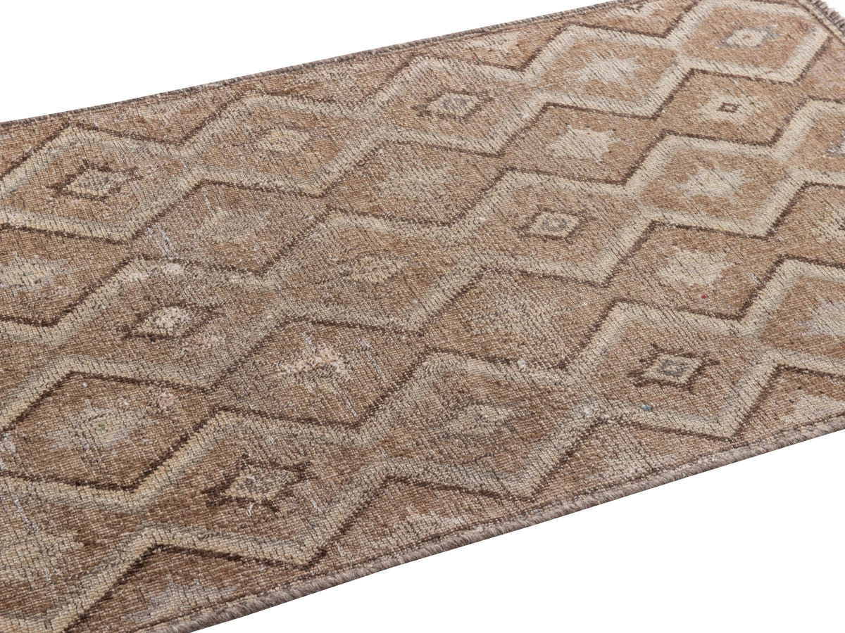 5507, Persian Shiraz Area Rug