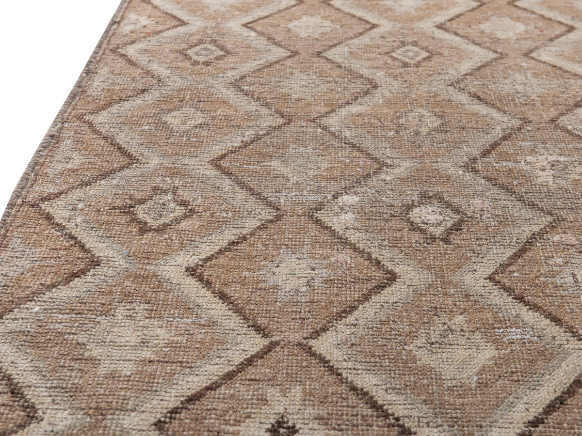 5507, Persian Shiraz Area Rug