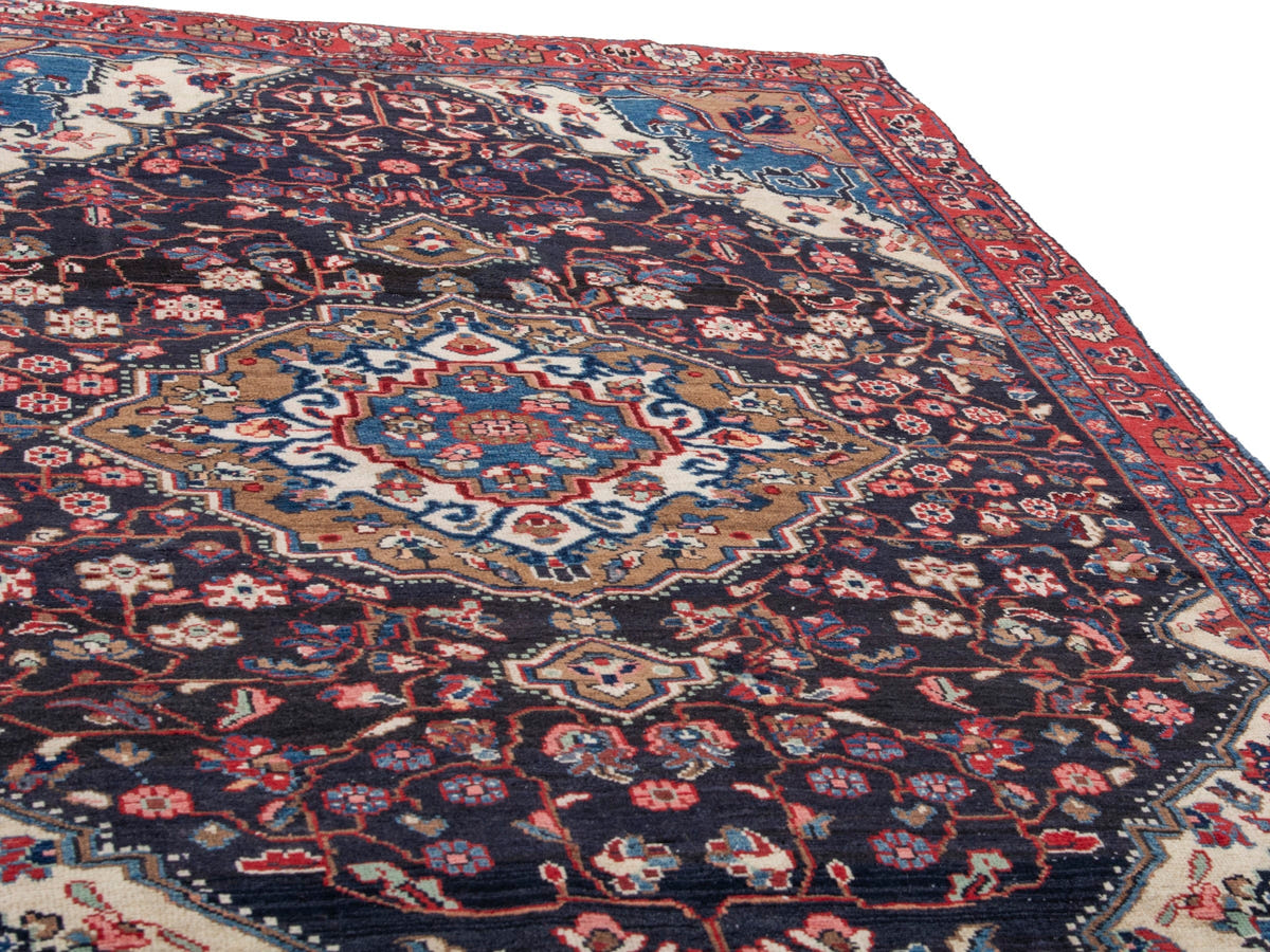 5520, Persian Malayer Area Rug