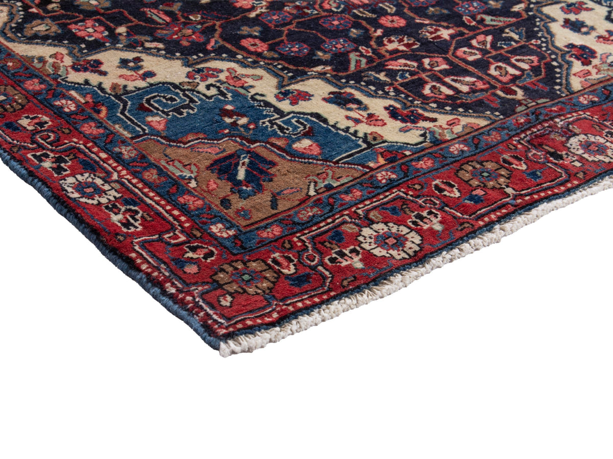 5520, Persian Malayer Area Rug
