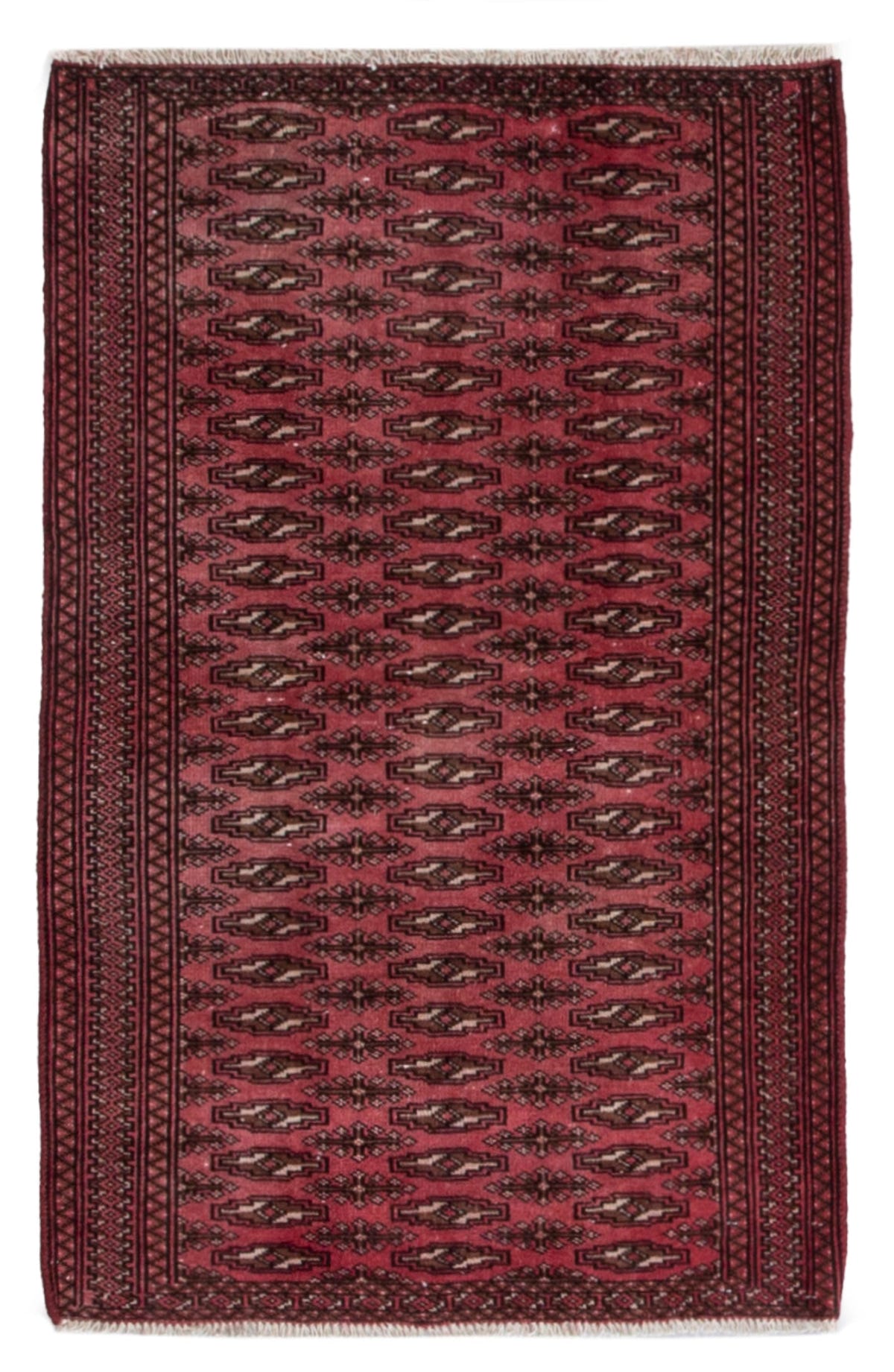 5528, Persian Torkaman Area Rug