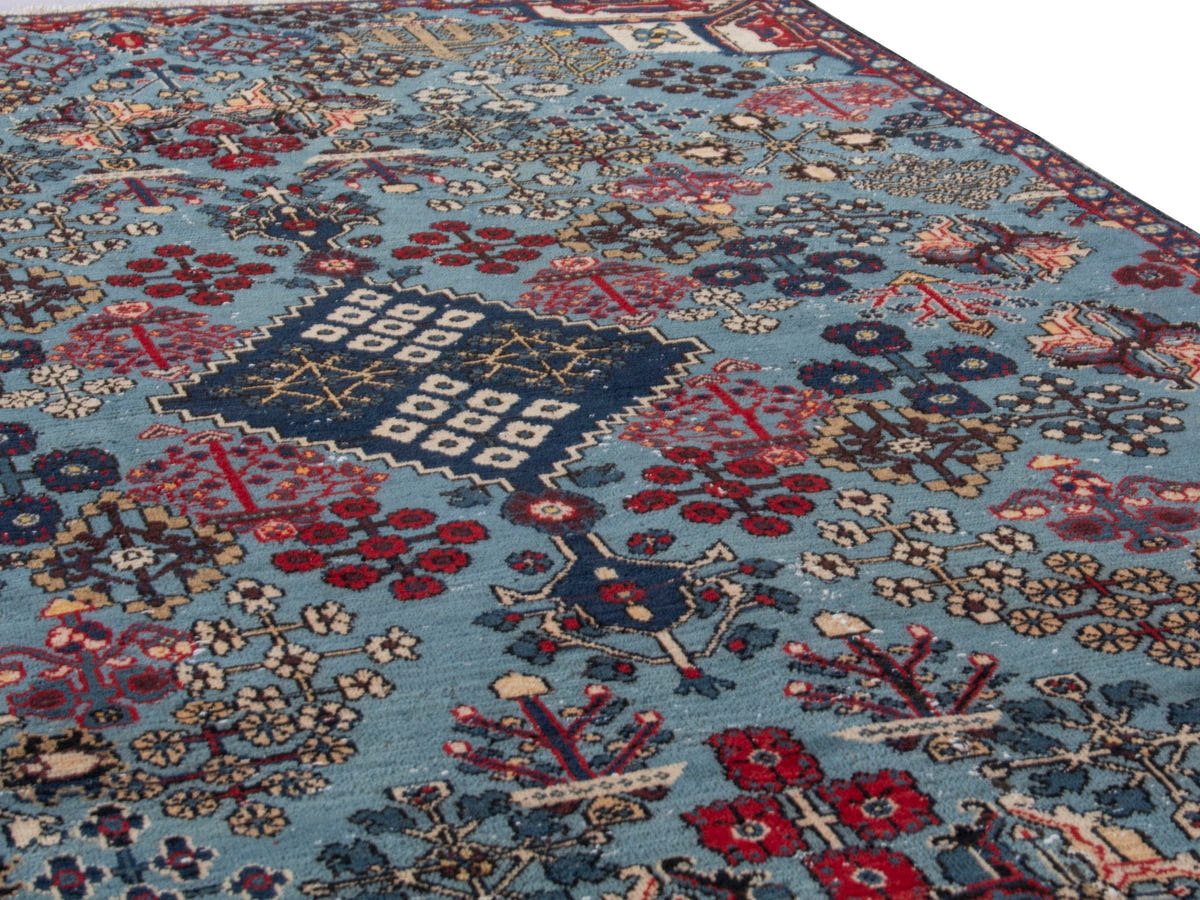 5542, Persian Joshaghan Area Rug