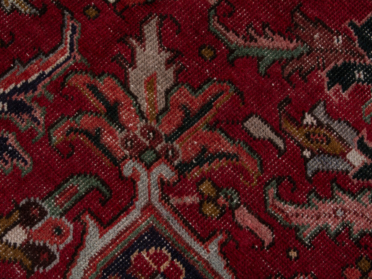 5551, Persian Goravan Oversized Rug