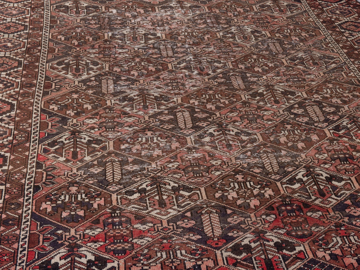 5570, Persian Bakhtiari Oversized Rug