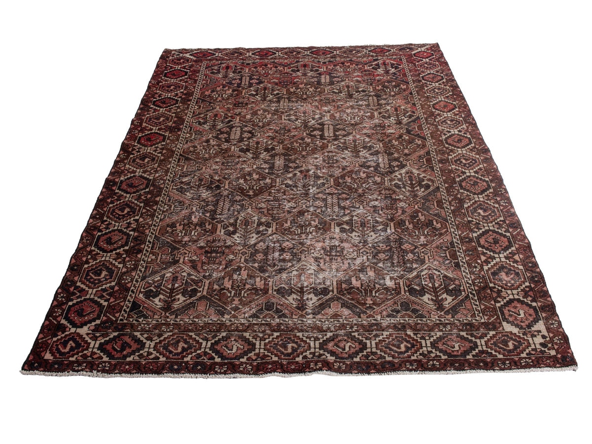 5570, Persian Bakhtiari Oversized Rug
