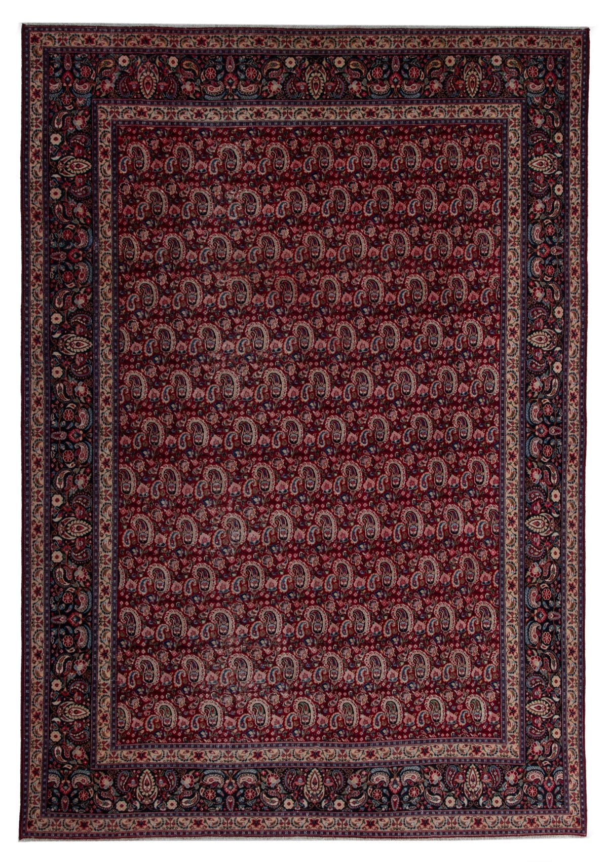 5599, Persian Birjand Oversized Rug