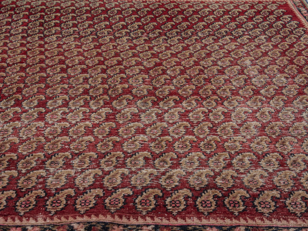 5689, Persian Sirjan Area Rug