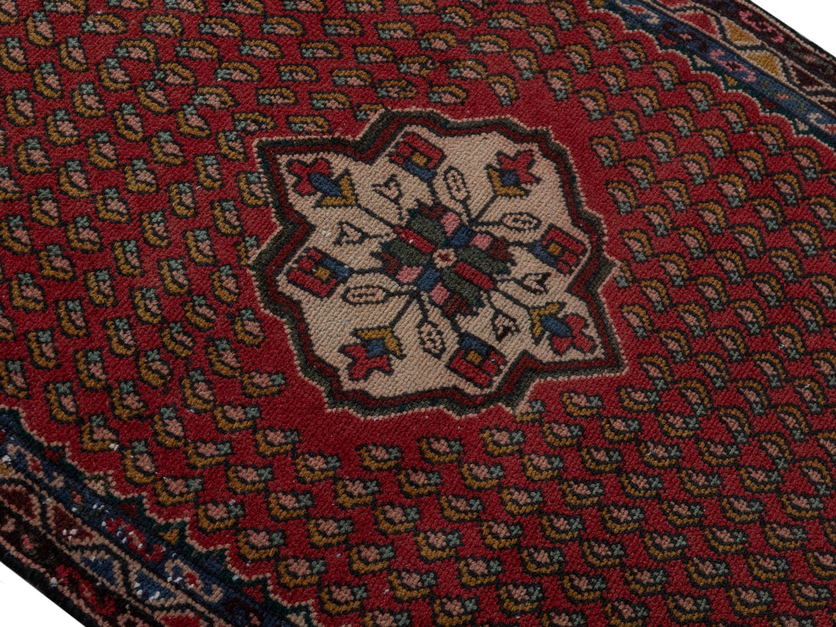 5700, Persian Hamadan Runner Rug