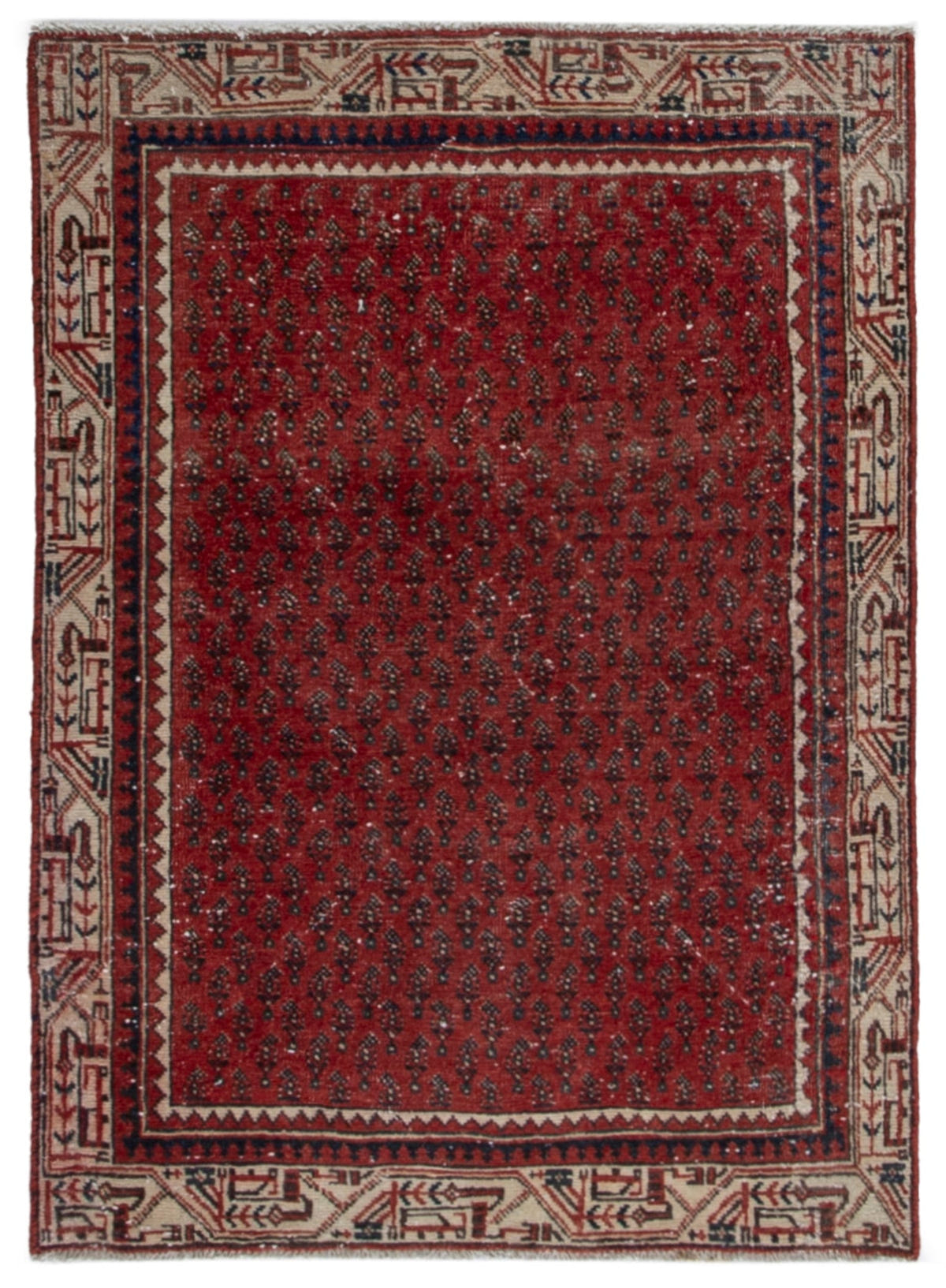5709, Persian Arak Area Rug