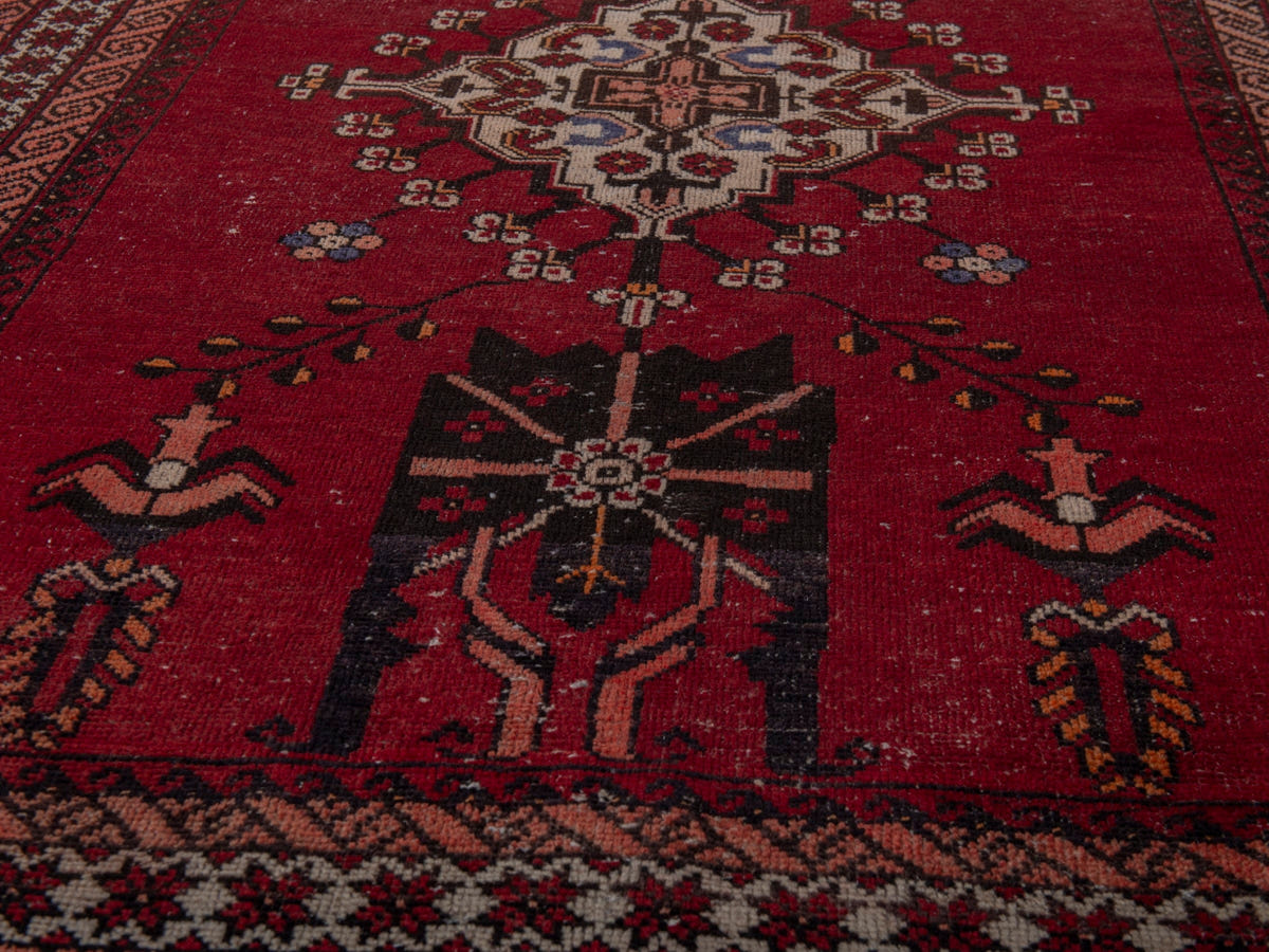 5736, Persian Ferdos Area Rug