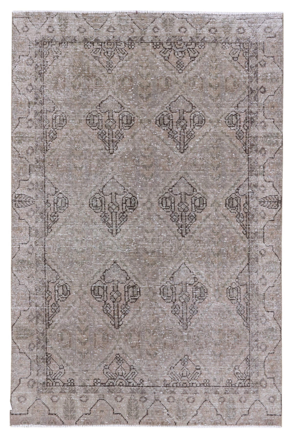 8898, Persian Bakhtiari Area Rug