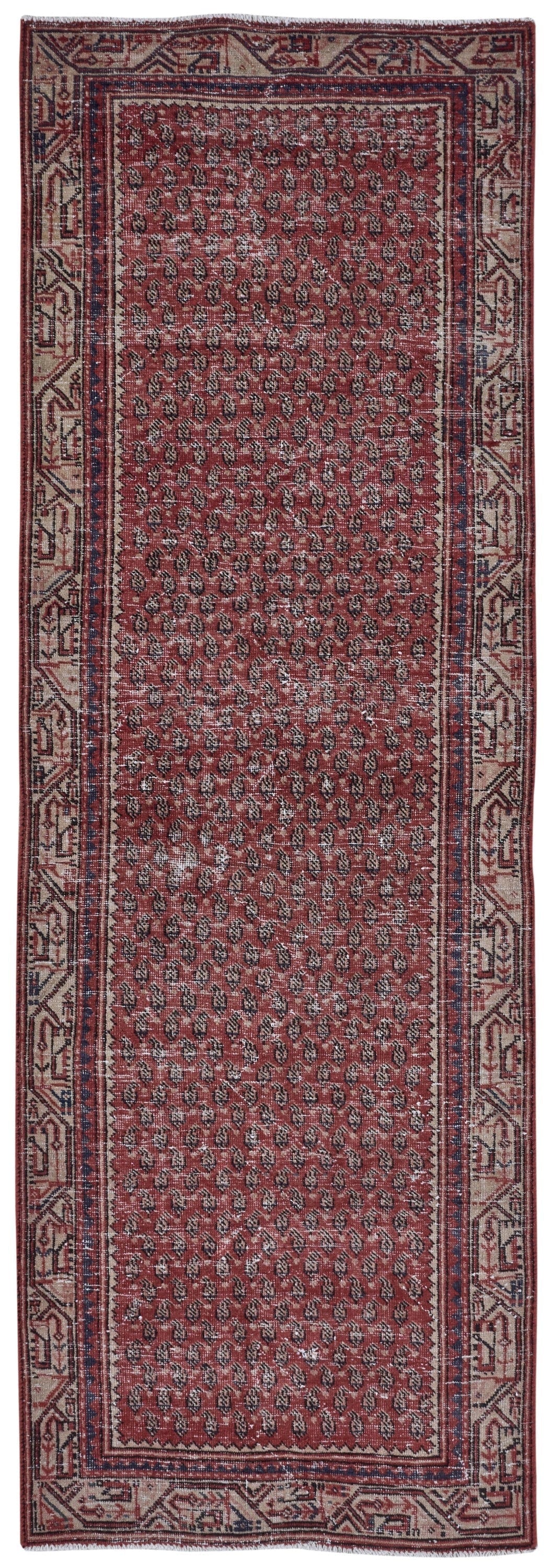 8912, Persian Arak Runner Rug