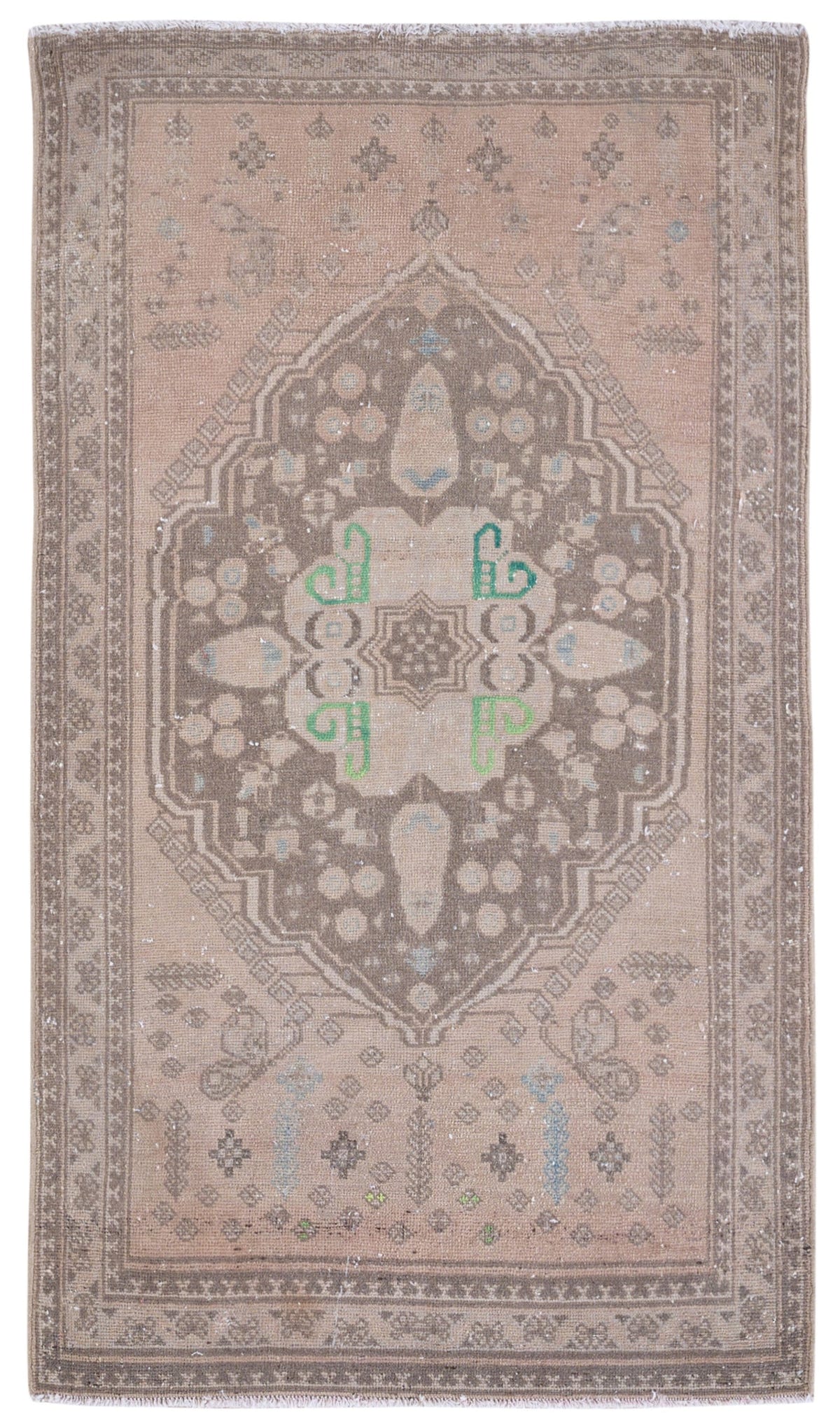 8946, Persian Shiraz Area Rug