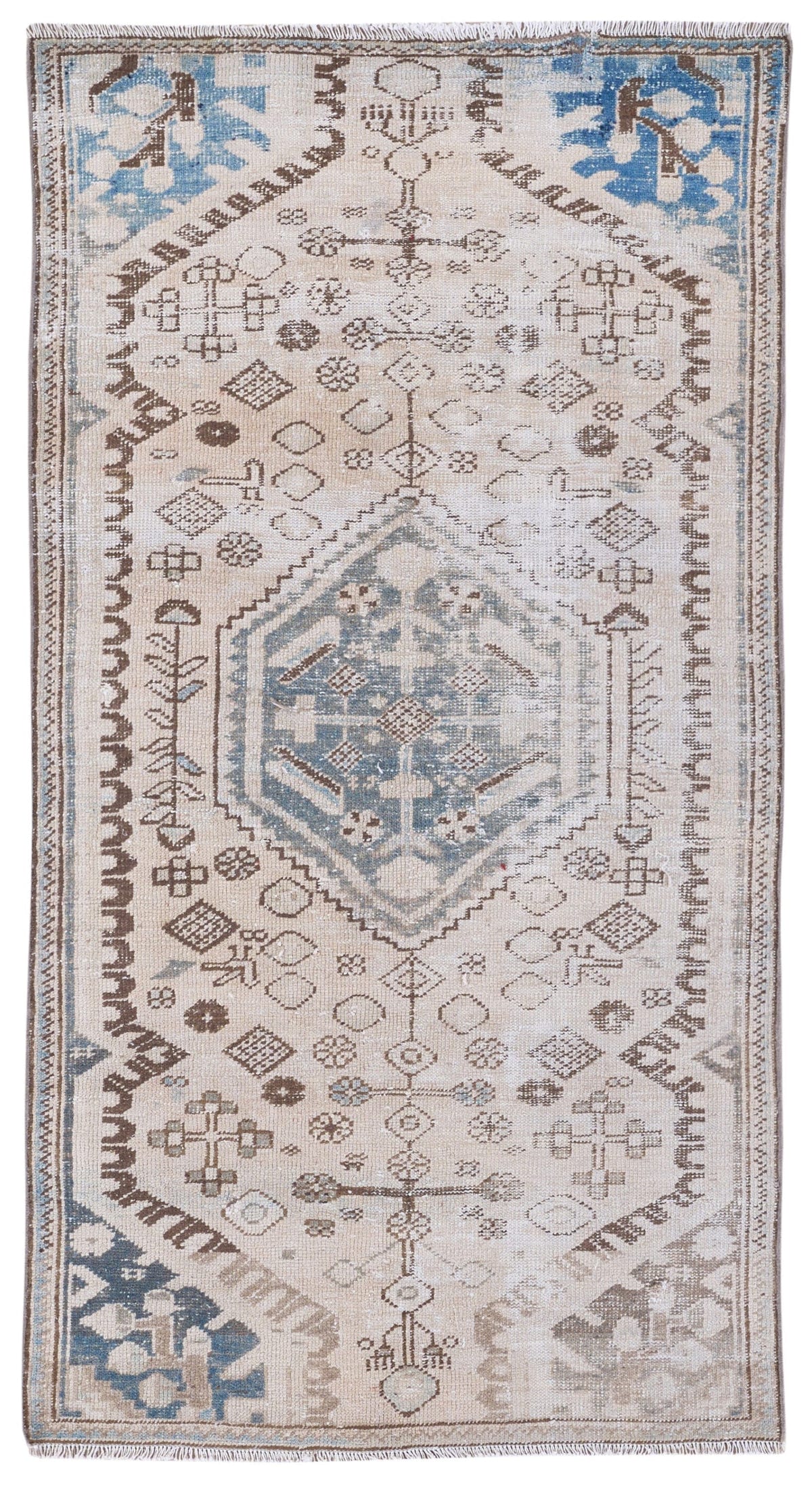 8960, Persian Zanjan Area Rug