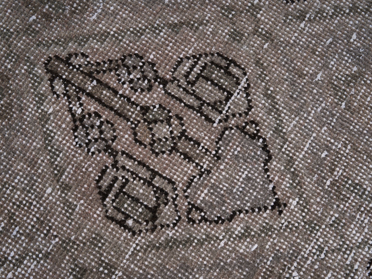 8898, Persian Bakhtiari Area Rug