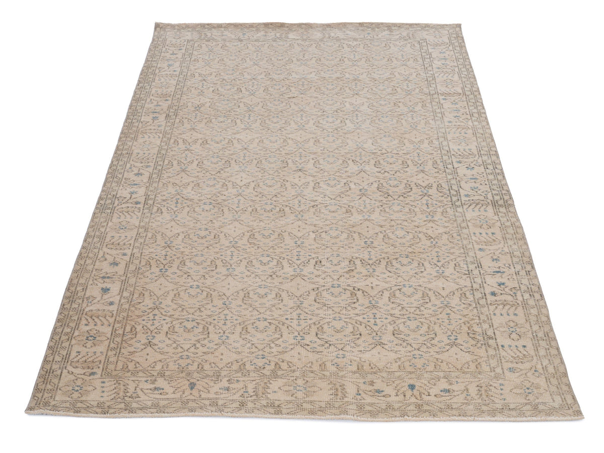 8137, Turkish Isparta Area Rug
