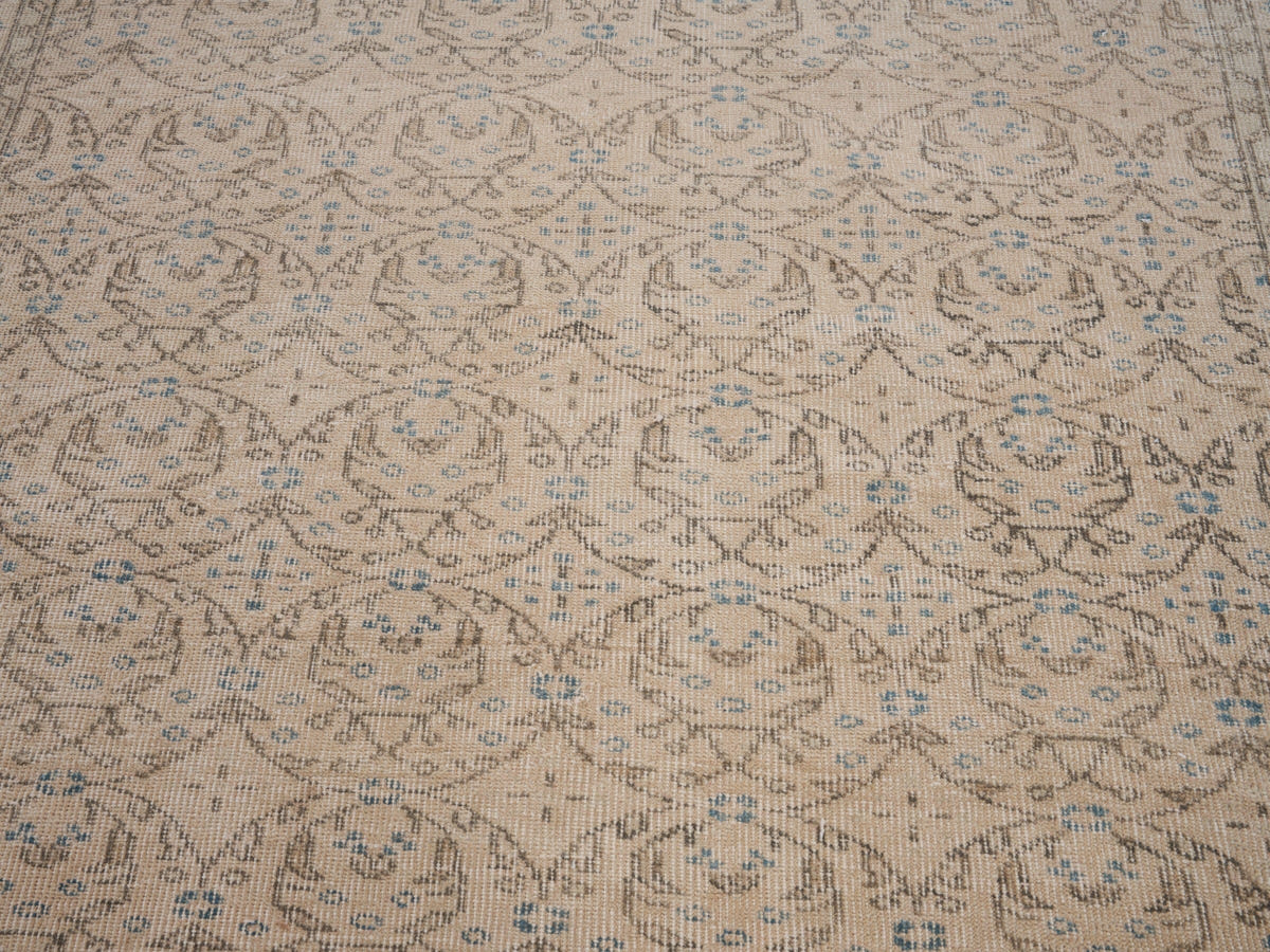 8137, Turkish Isparta Area Rug