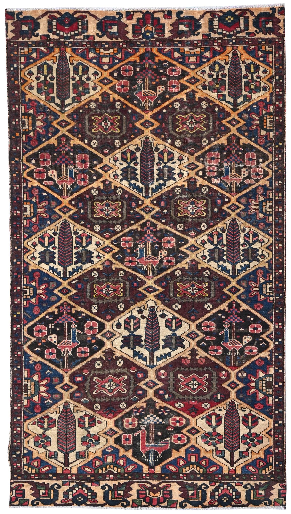 10008, Persian Bakhtiari Area Rug