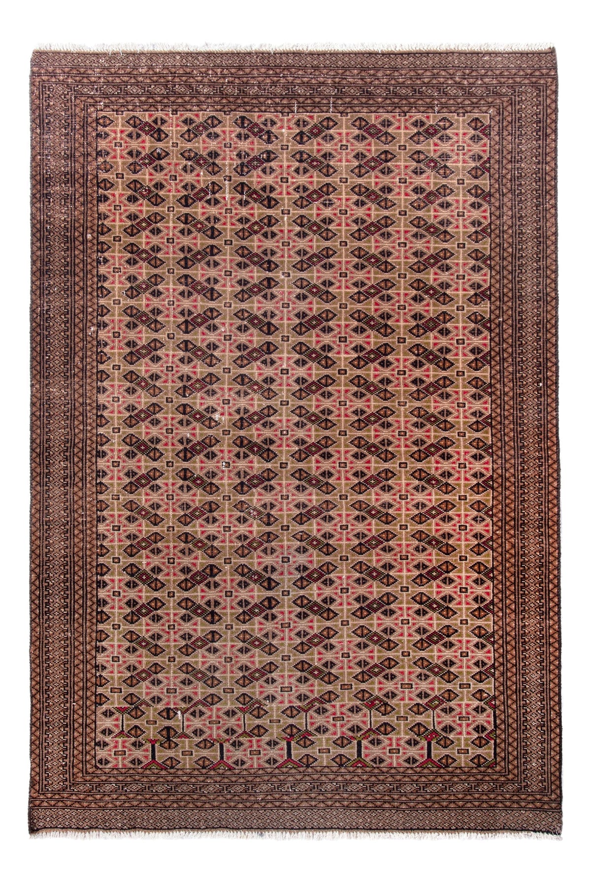 1023, Persian Torkaman Area Rug