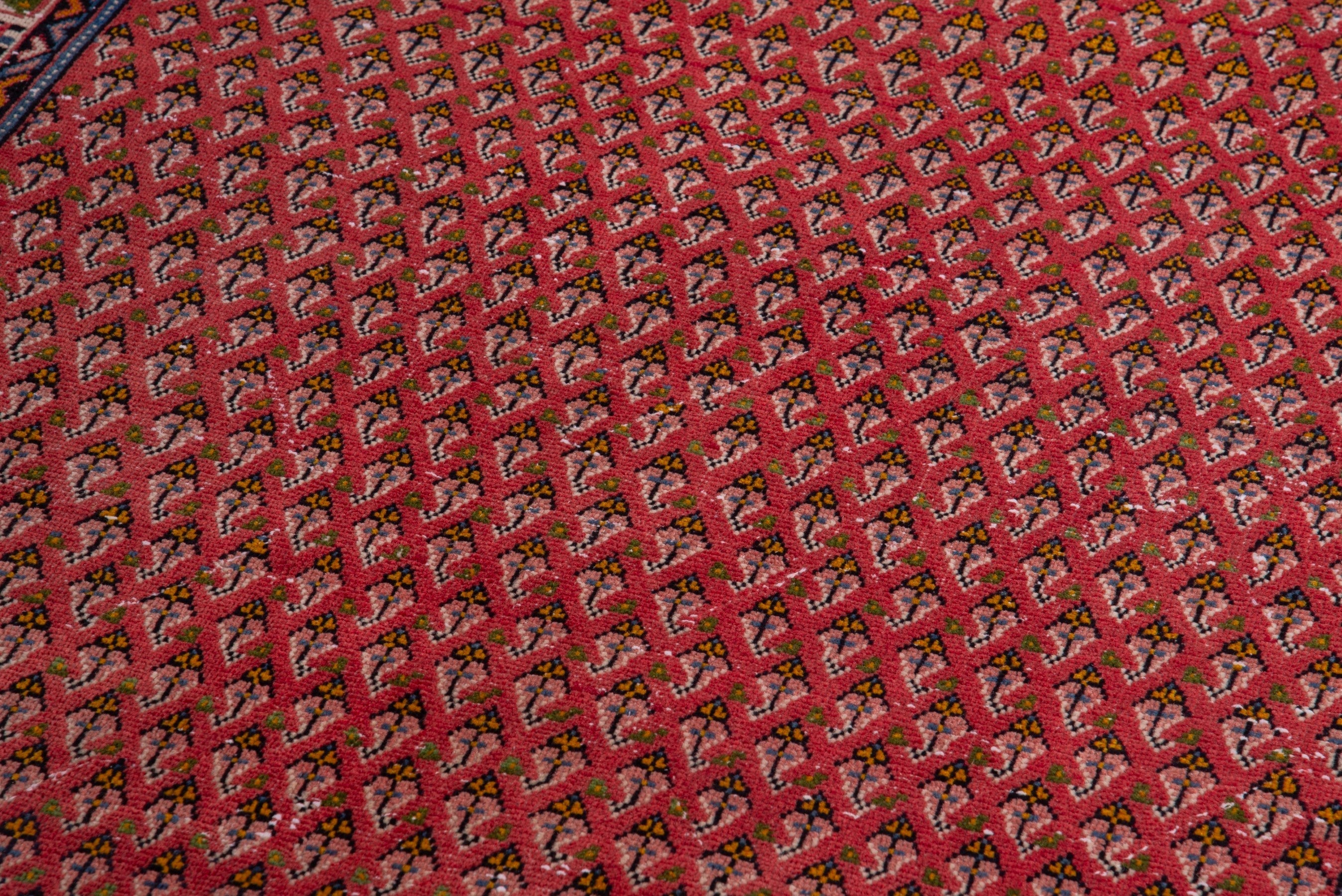 Persian Arak runner rug in deep red and cream, view 9 of 16